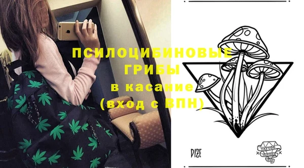apvp Алексеевка